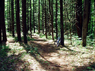 Single track through pines on the K-P parcel, Saratoga County Forest. 

The Saratoga Skier and Hiker, first-hand accounts of adventures in the Adirondacks and beyond, and Gore Mountain ski blog.