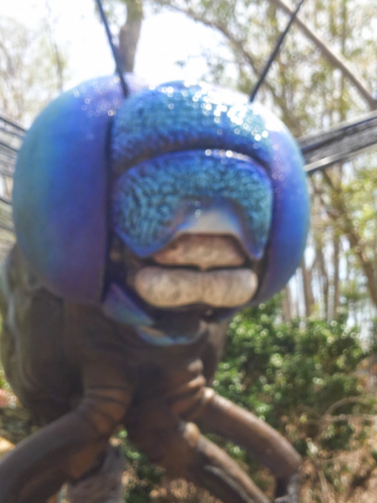 Mom's Thumb Reviews North Carolina Zoo Insects