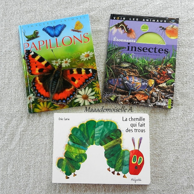 || Nos activités sur les papillons ; Livres Les papillons, Etonnants Insectes, La chenille qui fait des trous || Nos activités sur les papillons ; Livres Les papillons, Etonnants Insectes, La chenille qui fait des trous