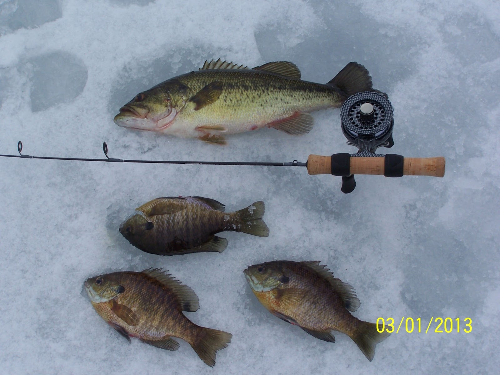 GUIDED VERMONT ICE FISHING TRIPS Vermont Ice Fishing Trips