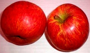Manzanas Imagen de un par de manzanas rojas