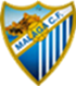 Málaga, entrenamiento y rueda de prensa de Juande Ramos
