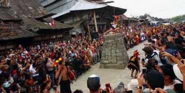 Unique Stone Jump Tradition From Nias,Indonesia Unique Stone Jump Tradition From Nias,Indonesia