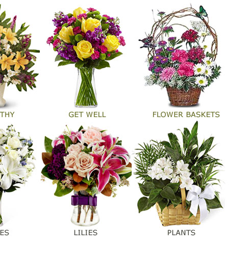 Cheap Flowers Delivered Right On Time Cheap Flowers Delivered Right On Time