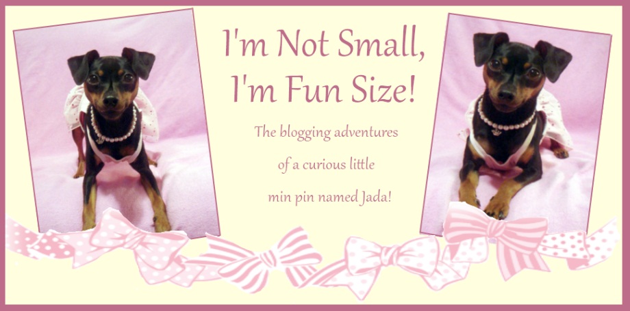 I'm Not Small, I'm Fun Size!