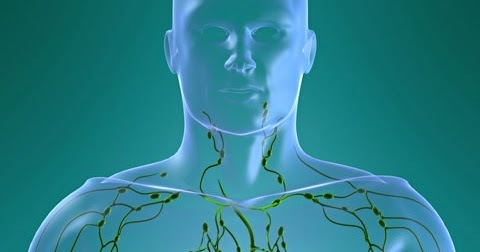 shotty lymph nodes on palpation