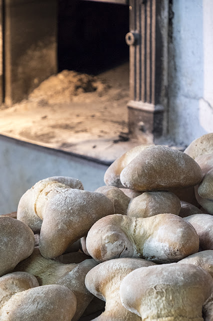 BreadClose.jpg