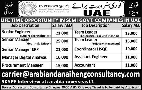 senior engineer job description