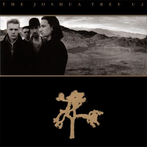 U2 Sombras e Árvores Altas Blog Vale da Morte, Zabriskie Point