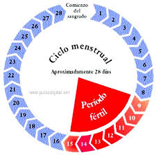 Como calcular el periodo fértil