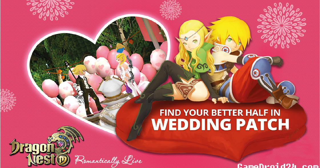 dragon nest mod pet lovely winnie indo