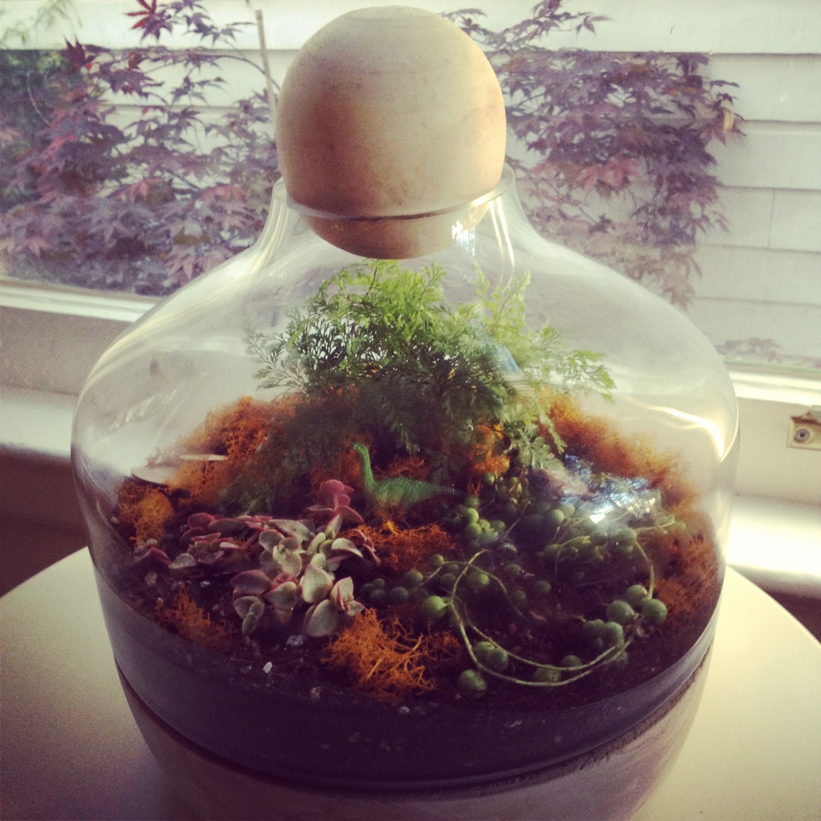 SF Bay Area Etsy Street Team Tuestorial Terrariums