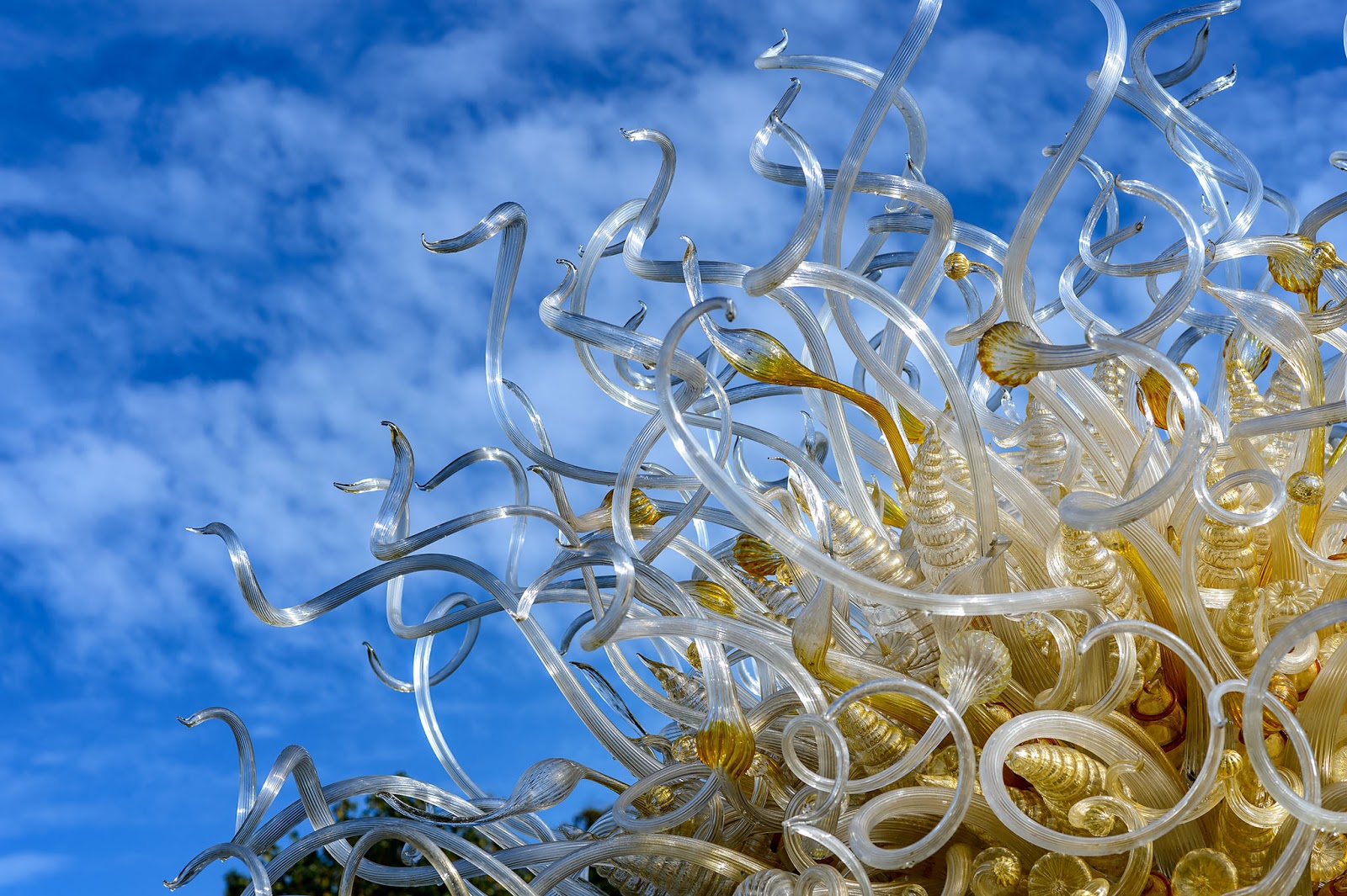 Bubba's Garage More Chihuly at Biltmore