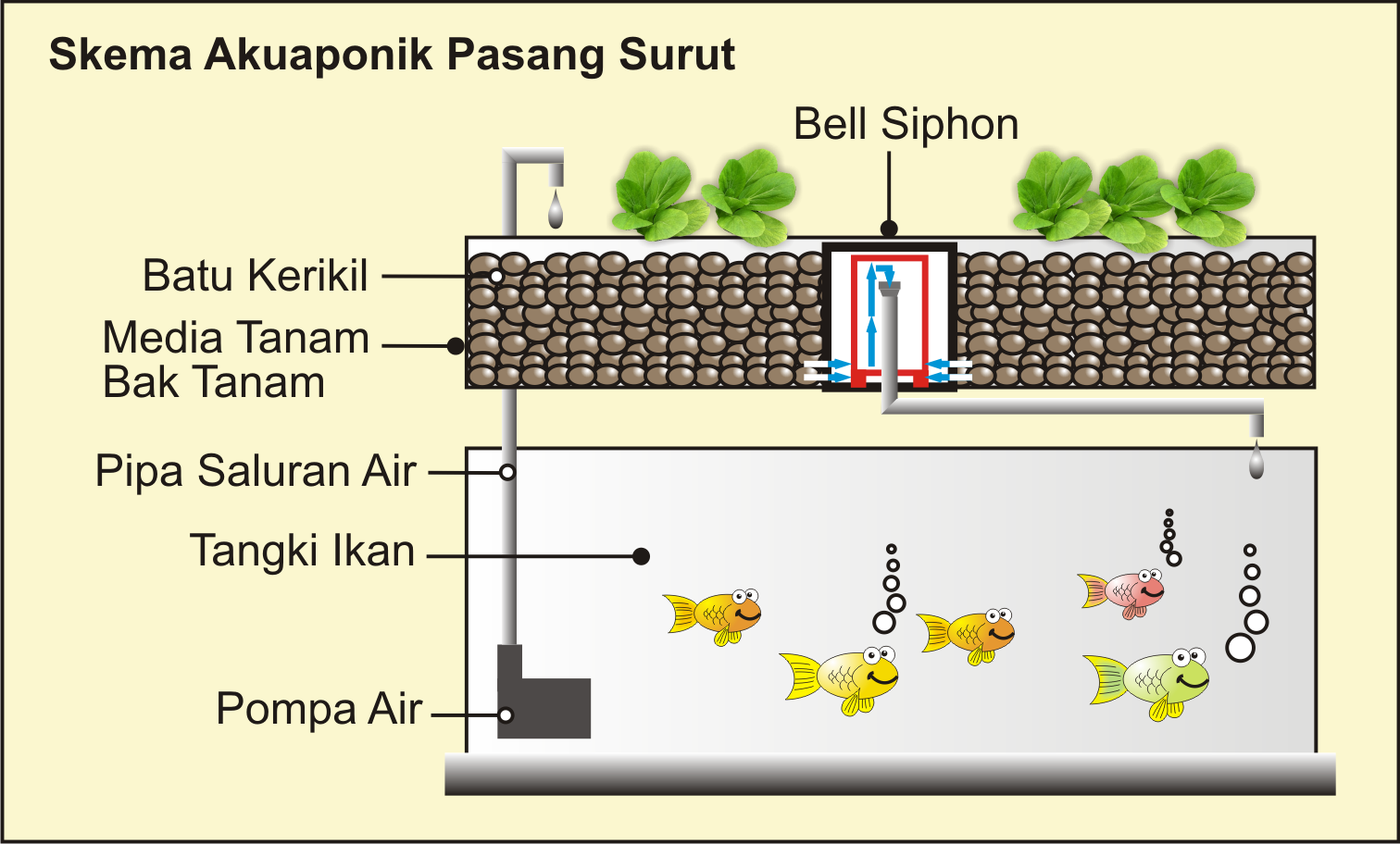 akuaponik aquaponik hidroponik  akuakultur ikan 