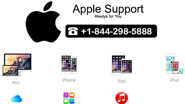 Apple Support Number 