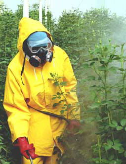 العلوم الزراعية Agriculture