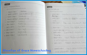 Homeschool curriculum