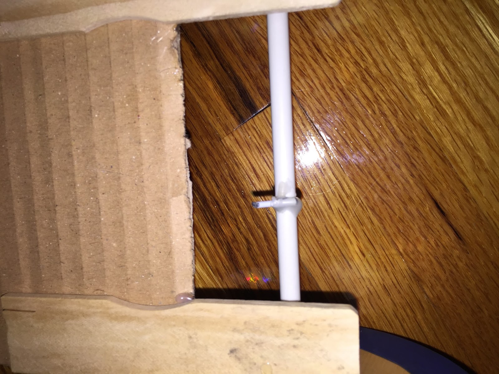 Physics: My Mouse Trap Car