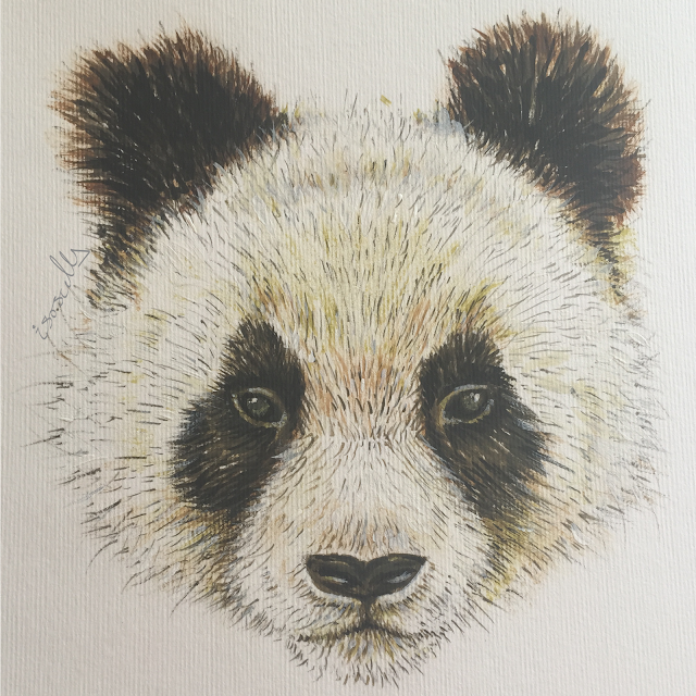 Panda face acrylic painting illustration