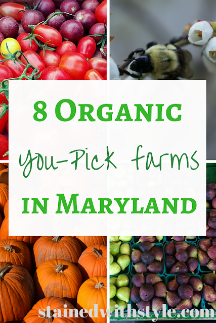organic, farms, you pick, maryland, family