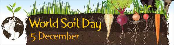 World Soil Day World Soil Day