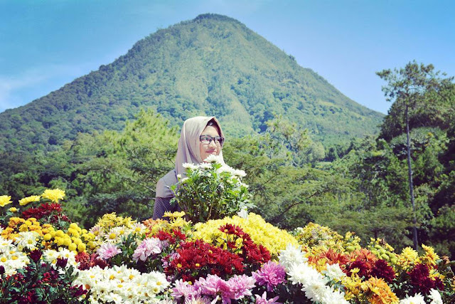 batu flower garden batu flower garden