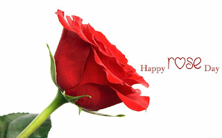 Happy Rose Day 2017 Images & Wallpaper Happy Rose Day 2017 Images & Wallpaper