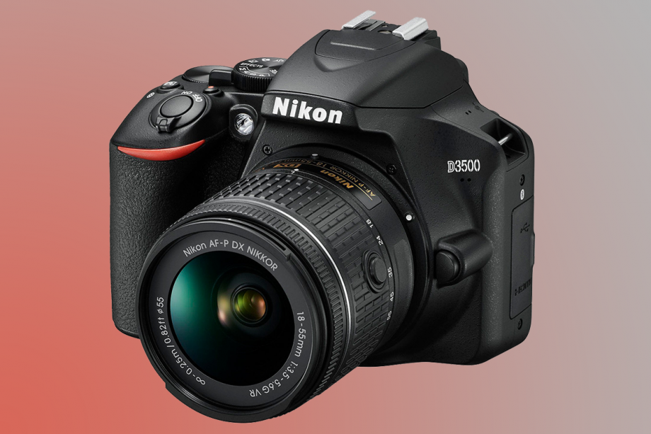 Nikon Photo Recovery How to recover deleted photos from Nikon D3500