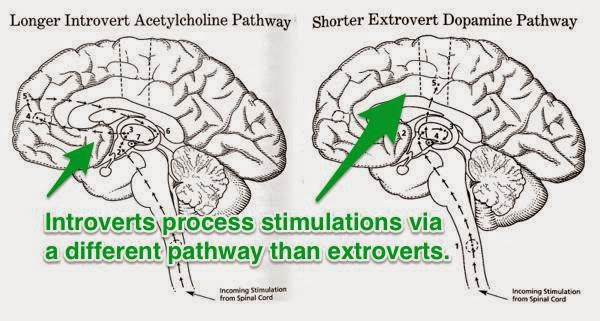9 حقائق مذهلة عن الدماغ البشري