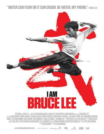 I Am Bruce Lee 2012 [Hindi – Englisdi]  Dual Audio 720p BluRay