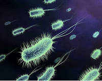 Germs Bacteria unhygienic Sanitation toilets india