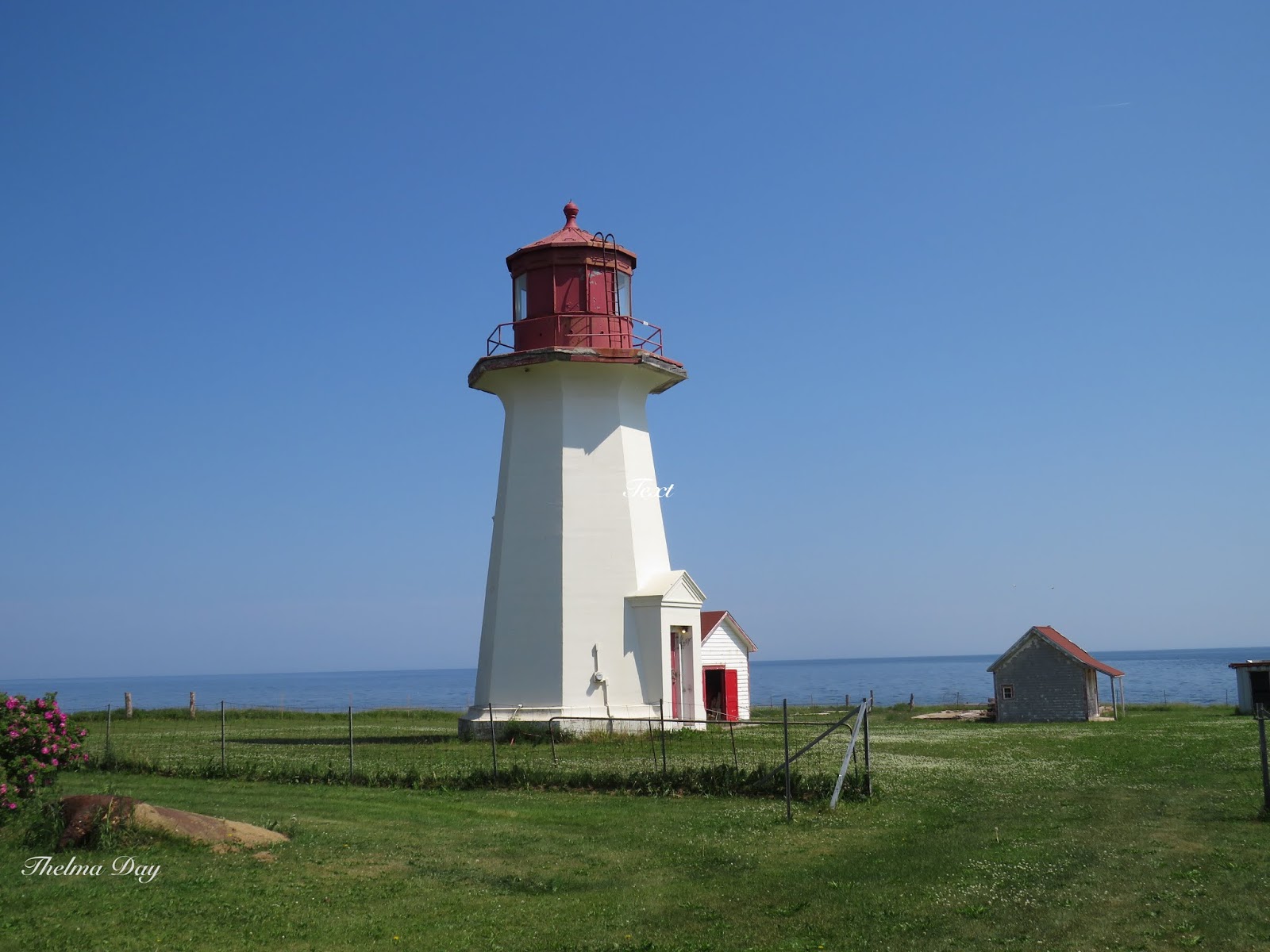 Thelma's Days: The Lighthouses of Gaspé.
