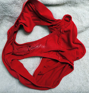 My Wife's Panties
