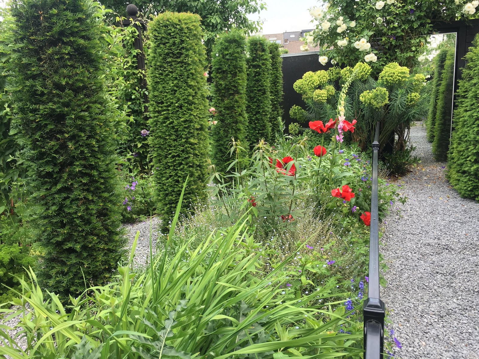 Potagerie in Maastricht 25.05.2018 English boarder after