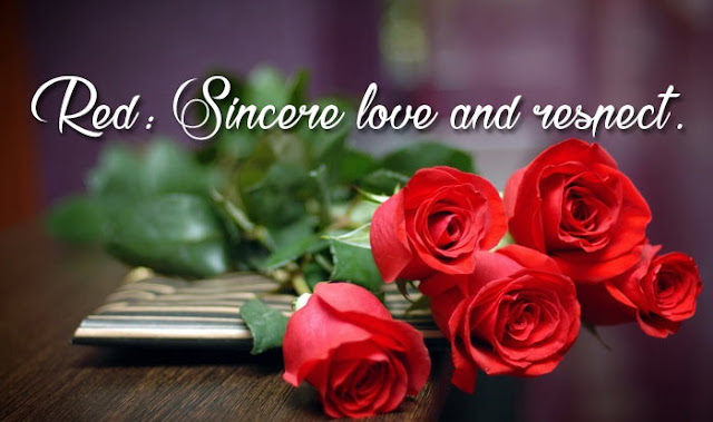 Happy Rose Day I Love You Images and Photos Happy Rose Day I Love You Images and Photos