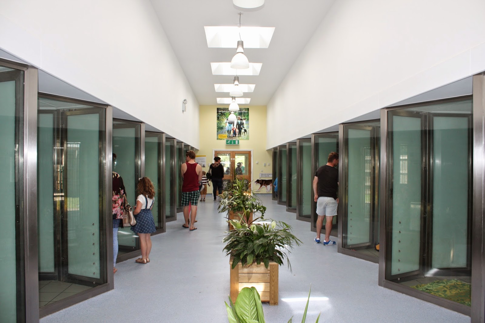 Dogs Trust Dogs Trust Shrewsbury Open Day