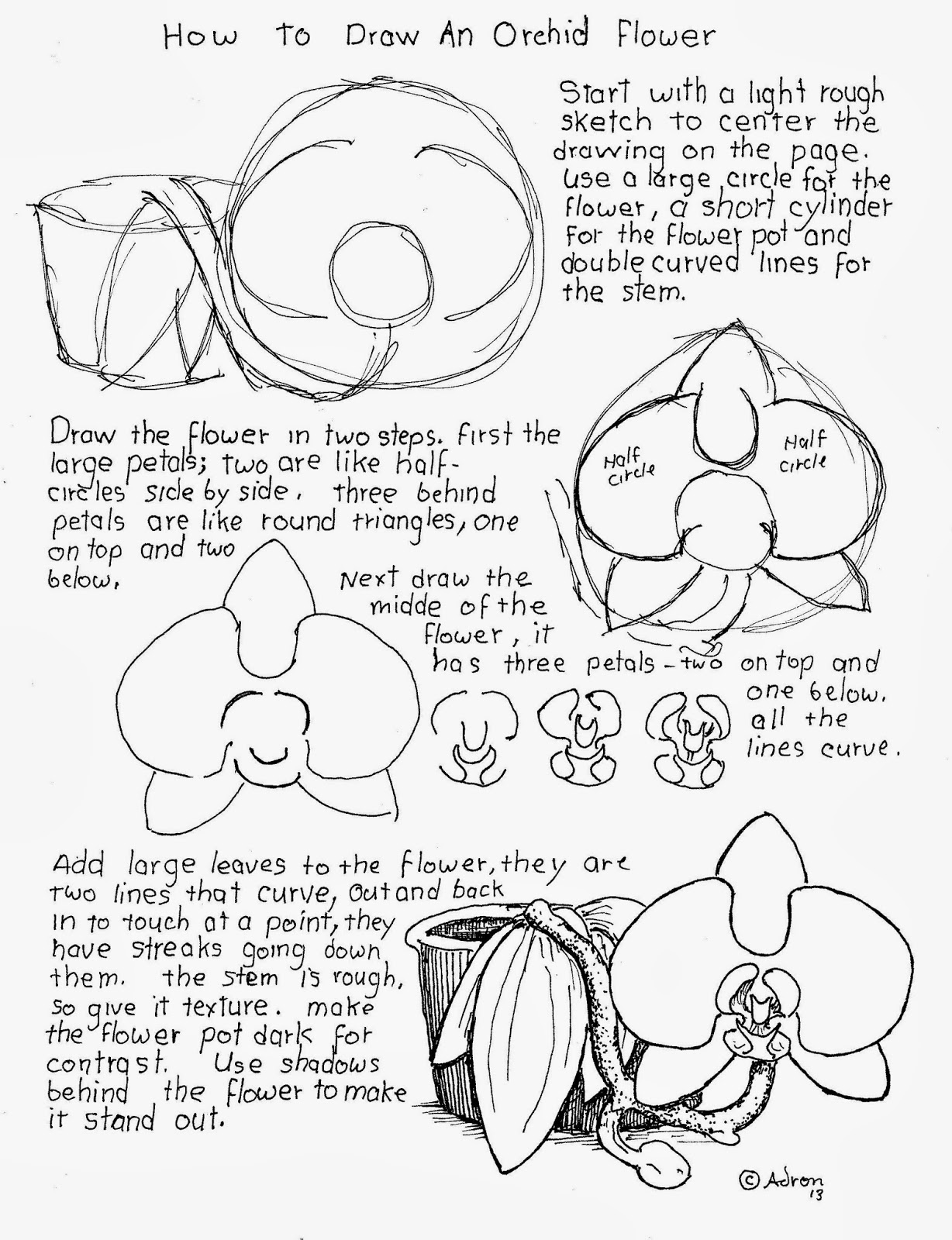 how to draw an orchid