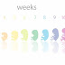 Perkembangan Bayi Dari 1 hingga 40 Minggu Kehamilan