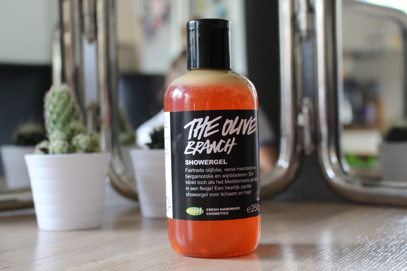 Trendy Pineapple Review Lush The Olive Branch Showergel ♥