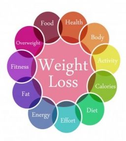 weight loss programs
