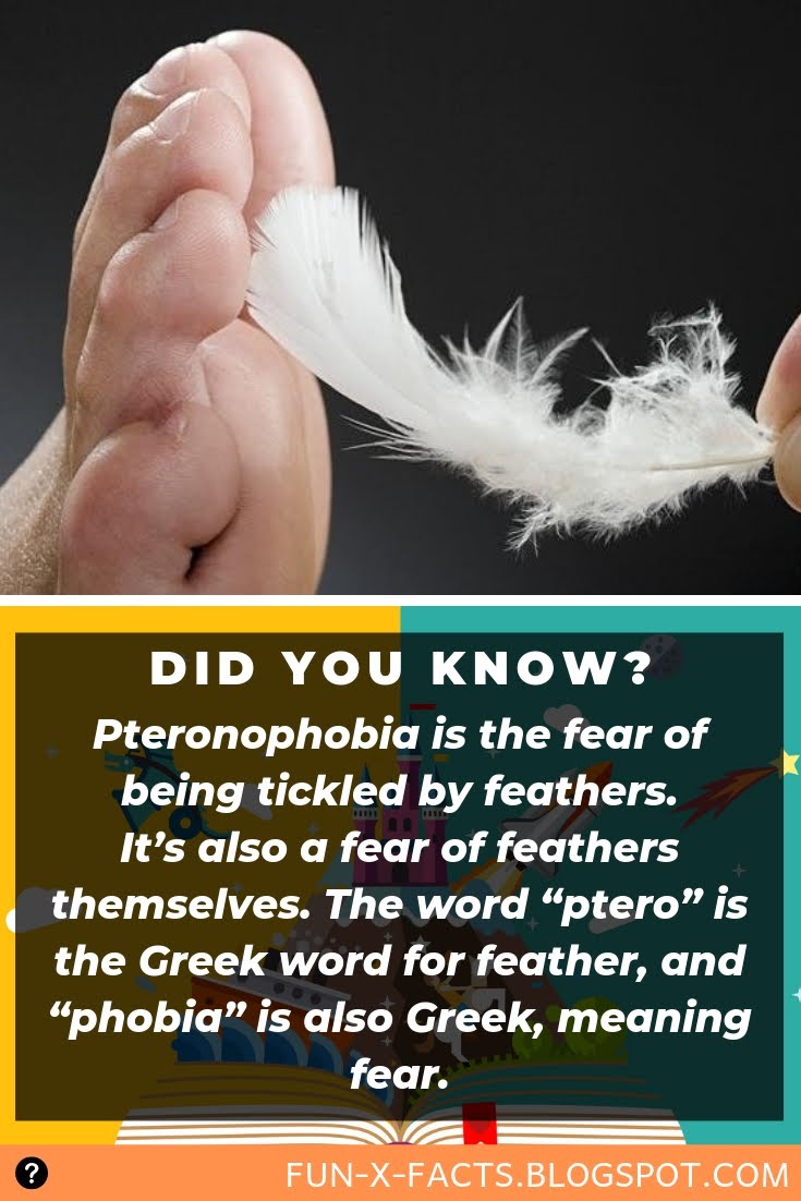Pteronophobia is the fear of being tickled by feathers Amazing WTF Facts