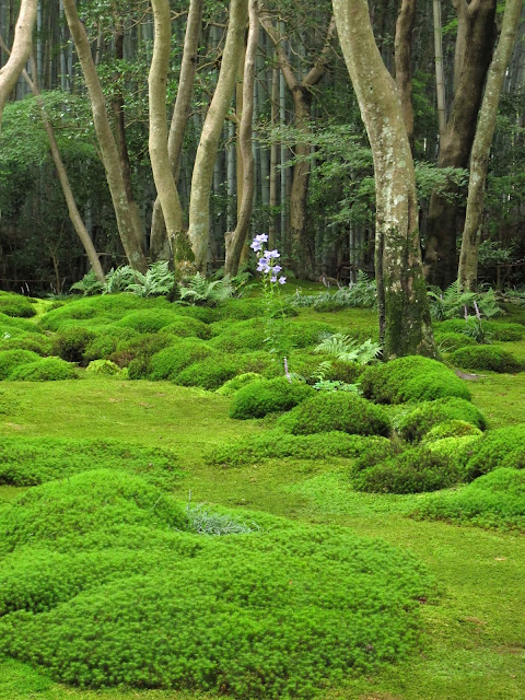 En el jardin: Japón: Paisajismo y cultura. Parte III