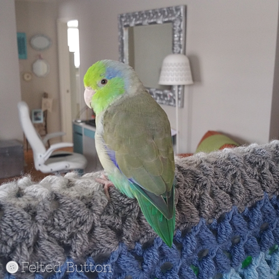 Parrotlet's Flight Blanket crochet pattern by Susan Carlso of Felted Button