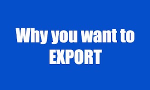 Why you want to start an Export Business?