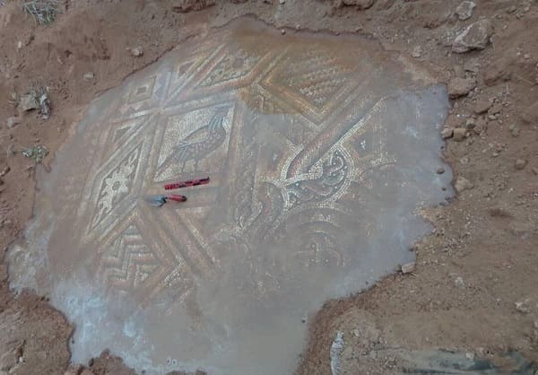 العثورعلى 3 لوحات فسيفسائية داخل موقع أثري خلال عمليات تمشيط بريف حماه.