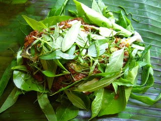 Image Result For Daun Muda Tahun Bro Image Result For Daun Muda Tahun Bro