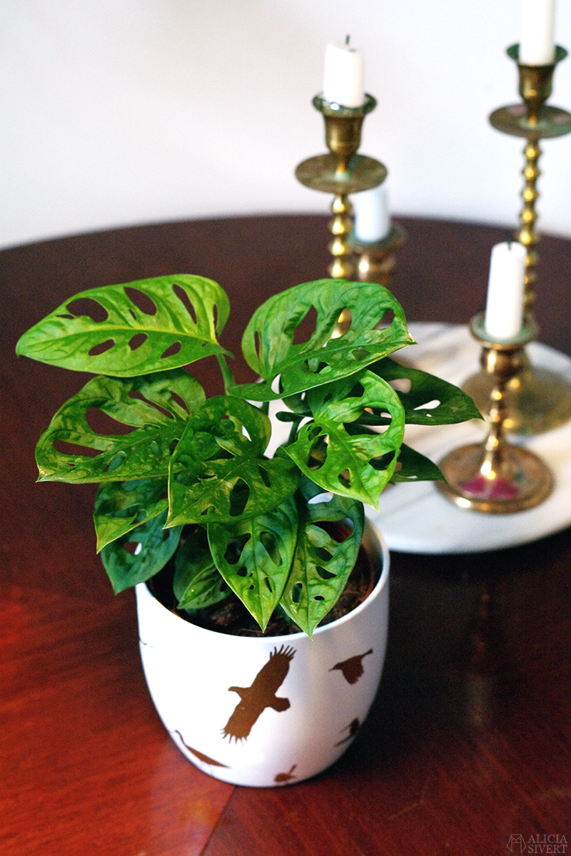 Plants, photo by Alicia Sivertsson. Flower pot by Mikaela Puranen Vasilakis.
