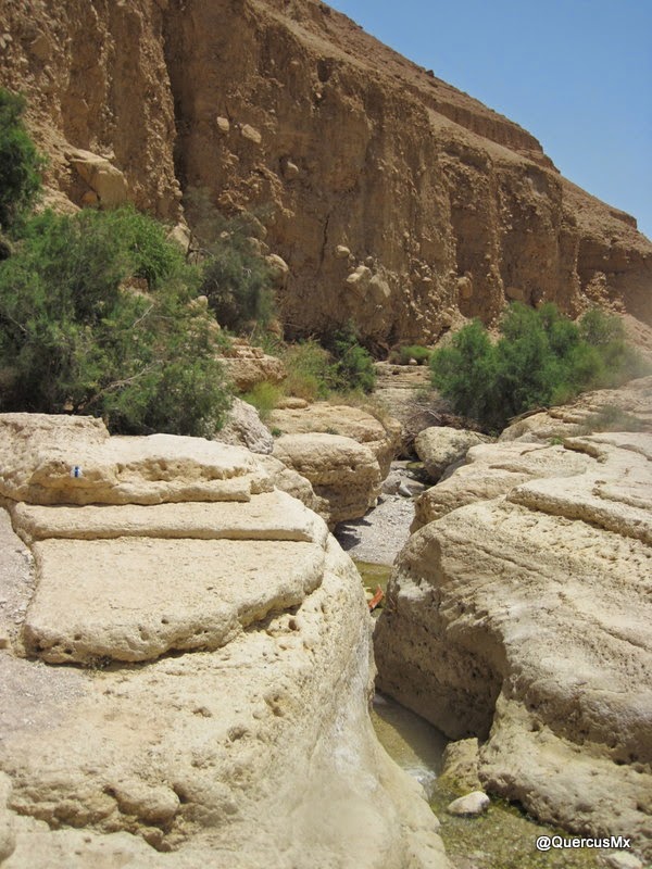 Pequeños cañónes en Wadi Arugot
