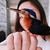 Rescued Ones | Tori, A Little Kingfisher.