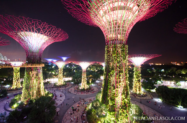 Singapore | Gardens by the Bay